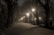 Park alley by night