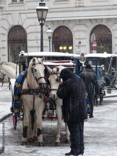 Photo: vienne, autriche vienne, autriche