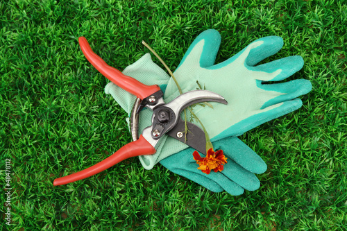 Photo: Secateurs with flower on green grass background Secateurs with flower on green grass background