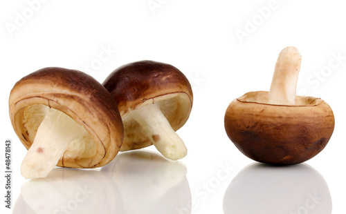 Photo: Fresh mushrooms isolated on white Fresh mushrooms isolated on white