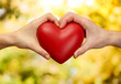 Red heart in woman and man hands, on green background