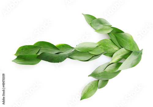 Photo: arrow of beautiful green leaves, isolated on white arrow of beautiful green leaves, isolated on white