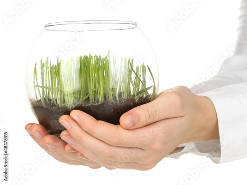 Photo: Hands holding glass vase with growing grass isolated on white Hands holding glass vase with growing grass isolated on white