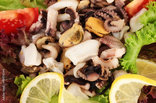 Photo: Healthy Seafood Salad with shrimps,octopus and mussels,squids Healthy Seafood Salad with shrimps,octopus and mussels,squids