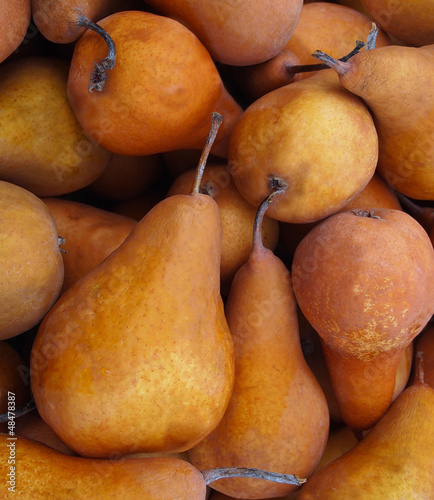 Photo: Bosc Pears Bosc Pears