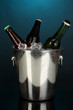Beer bottles in ice bucket on darck blue background