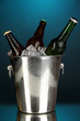Beer bottles in ice bucket on darck blue background
