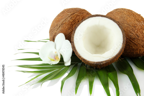 Photo: Coconuts with leaves and flower, isolated on white Coconuts with leaves and flower, isolated on white