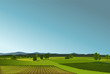 Rural landscape with geen fields