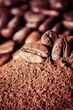 Coffee beans on grunge wooden background