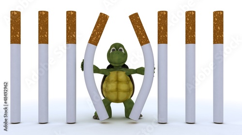Illustration: tortoise escaping cigarette prison tortoise escaping cigarette prison