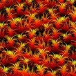 Vector: Fire Feather Pattern Texture-Piume di Fuoco Sfondo Astratto Fire Feather Pattern Texture-Piume di Fuoco Sfondo Astratto