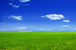 Green meadow and blue sky