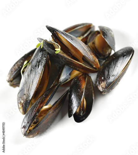 Photo: Mussels Mussels
