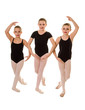 Ballerina Dancers in Class