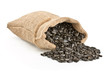 Sunflower seeds, poured out of a bag