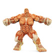 male super muscle