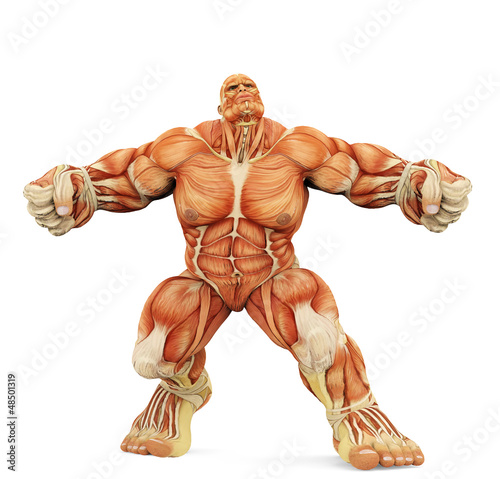 Illustration: male super muscle male super muscle