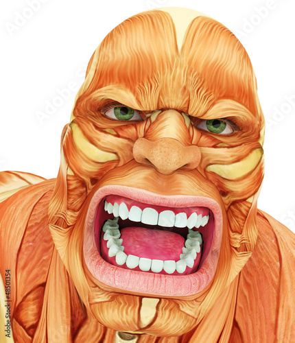 Illustration: male super muscle big face male super muscle big face