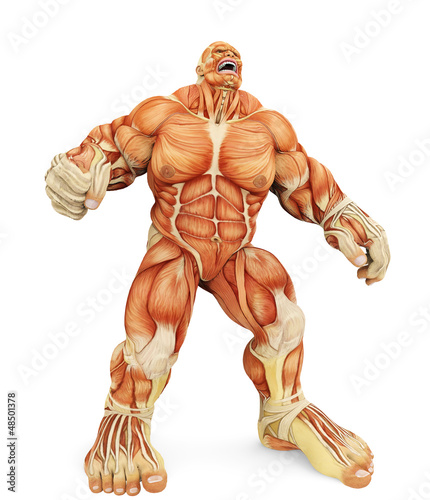 Illustration: male super muscle big pain male super muscle big pain