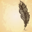 Vector: Sketch of the feather on grungy texture Sketch of the feather on grungy texture