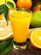 Saft von Zitrusfrüchten