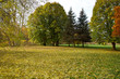 Photo: Autumn in the Park Autumn in the Park