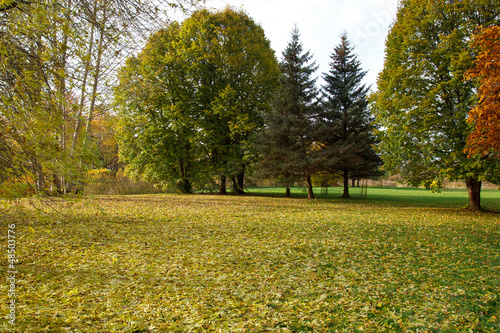 Photo: Autumn in the Park Autumn in the Park