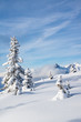 Winterlandschaft