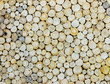 Photo: tree stump texture for background tree stump texture for background