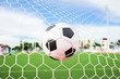 soccer ball in goal net