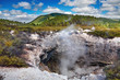 Wai-O-Tapu thermal area, New Zealand