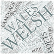 Literature of Wales (Welsh language) Disciplines Concept