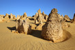 The Pinnacles. Western Australia