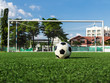soccer ball on green grass in front of goal net