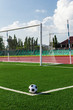 soccer ball on green grass in front of goal net