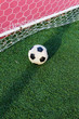 soccer ball on green grass in goal net
