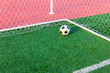 soccer ball on green grass in goal net