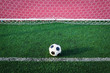 soccer ball on green grass in goal net