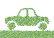 auto d'erba