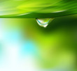 Vector drop of dew on a background of sky and greenery