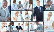Business life