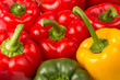 bunte Paprika