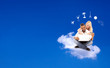 Foto: Online Booking - E-commerce Online Booking - E-commerce