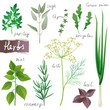 herbs set