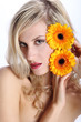 beautiful blond girl with gerber daisy flower on a white backgro