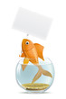 Vector: Aquarium fish blank Aquarium fish blank