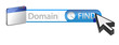 Searching for a domain concept