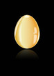 Oeuf en or - Reflet - Fond noir - Pâques