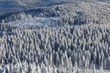 verschneiter Tannenwald, Luftaufnahme